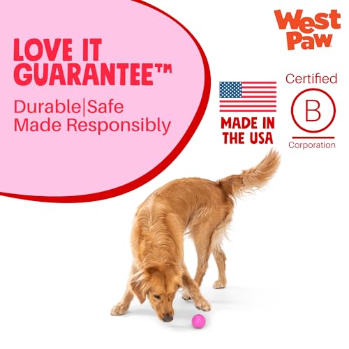 Boundr Ball Dog Fetch Toy (Small (Pack of 2) / Hot Pink/Glow)