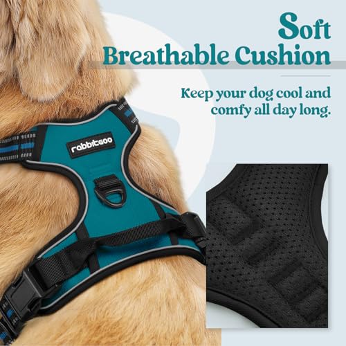 Dog Harness No Pull Medium Sized with 2 Leash Clips (Medium / Blue Coral)