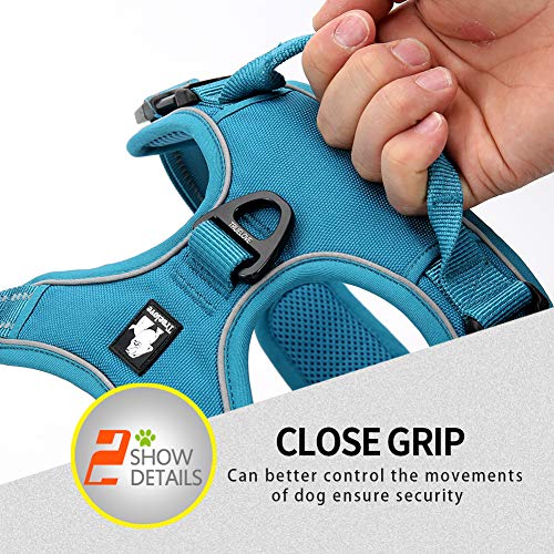 Truelove No Pull Dog Harness with Easy Control Handle and 2 Leash Attachments (Medium / Teal Blue)
