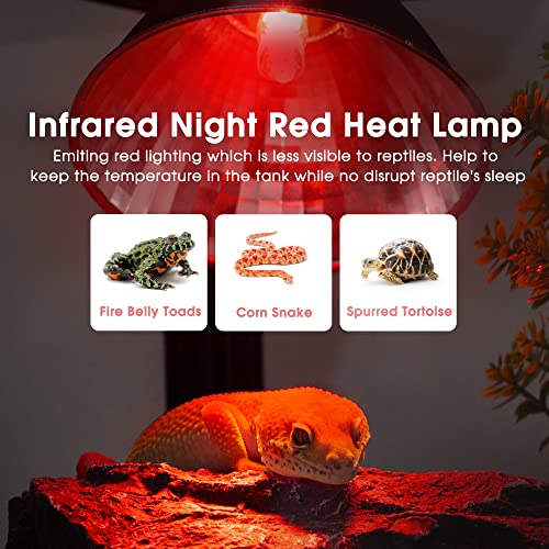 G9 Infrared Heat Lamp Bulbs for Reptile Mini Reptile Light Red (Red Bulb / 2 Pack)