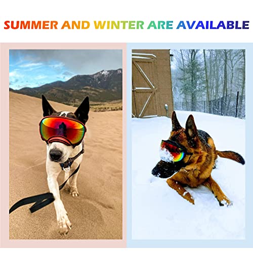 Dog Sunglasses