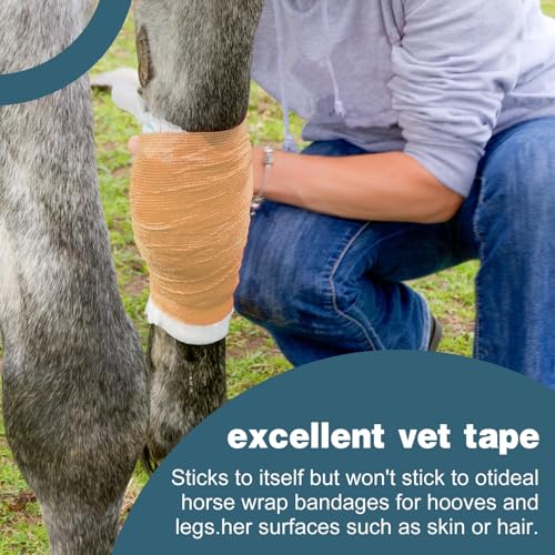 36 Pack Self Adhesive Bandage Wrap (Beige)