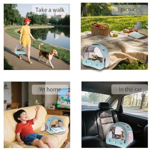 Portable Parrot Travel Cage Carrier with Small Swing Toy&Cage Colorful Toys Set Small Bird Parakeet Bag with Standing Perch Bird Carry Transport Bag (Green / 1.0"L x 1.0"W x 1.0"H)