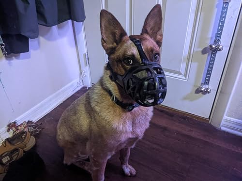 Basket Dog Muzzle for Large Medium Small Dogs German Shepherd (X-Small / Black)