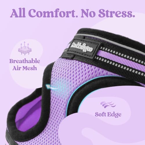 Cat Harness and Leash Set (L / Light Purple)