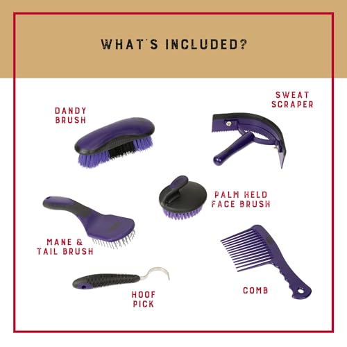 6 Piece Horse Grooming Kit (Purple/Black)