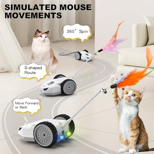 Interactive Cat Toys for Indoor Cats