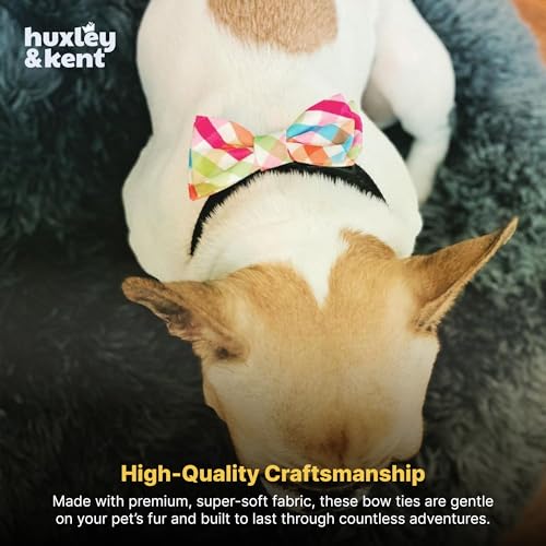 Pet Bow Tie for Dogs & Cats (Small)