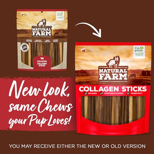 Braided Pork Collagen Dog Chews (10 Count (Pack of 1))