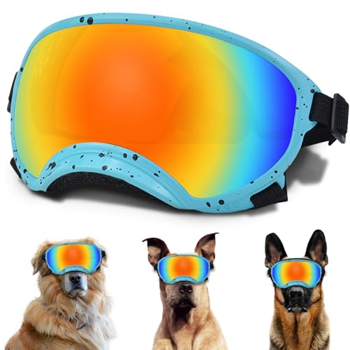 Large Dog Sunglasses