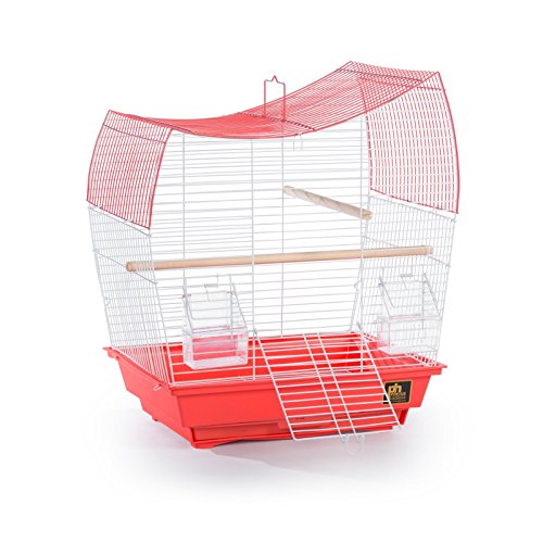 South Beach Wave Top Bird Cage Minimal Assembly (Lime Green / 10.4"L x 0.4"W x 17.6"H)