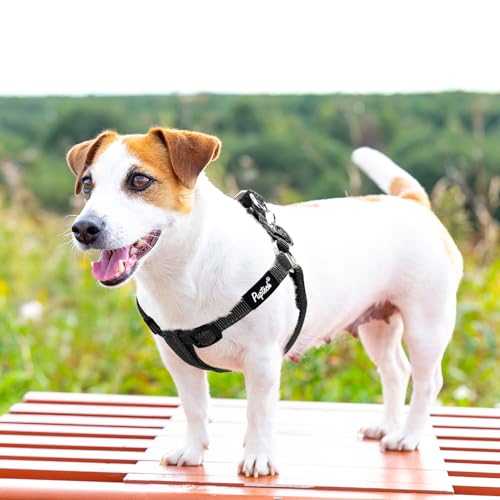 No Pull Dog Harness Small Sized Step (Black(Reflective) / Small)