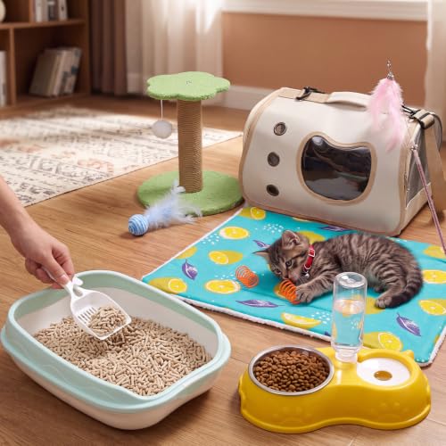 10 Pcs Kitten Starter Kit for Indoor (Cute / Small / Multicolor)