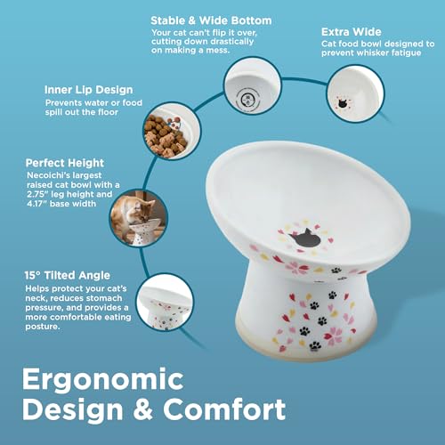 Necoichi Porcelain (Sakura / Regular Tilted)