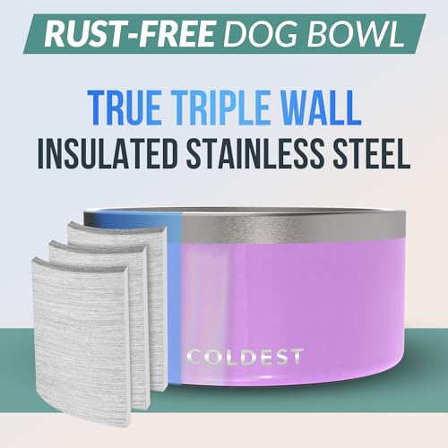 Coldest Dog Bowl (200 oz / Saturns Purple Glitter)