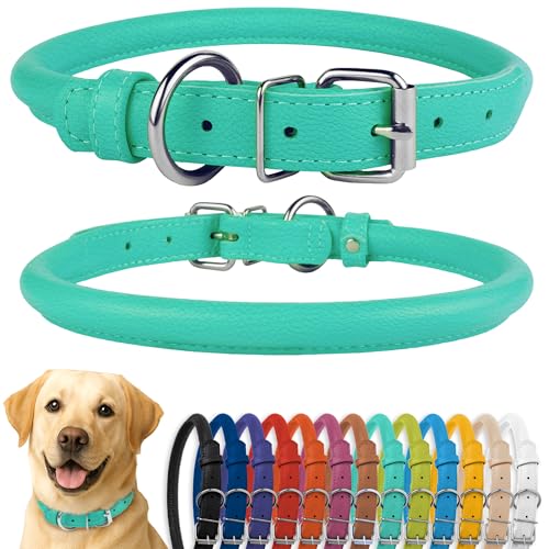 Tangle Free Rolled Leather Dog Collar (Mint Green Textured / XL)