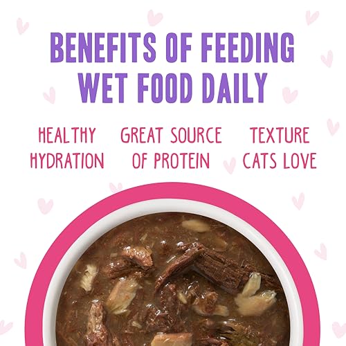 B.F.F. OMG Best Feline Friend Oh My Gravy! (3 Ounce (Pack of 12))