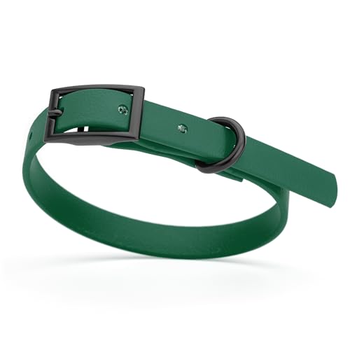 Biothane Waterproof Dog Collar Strong Coated Nylon Webbing with Black Hardware Odor (W1/2" x L9-12" / Hunter Green)