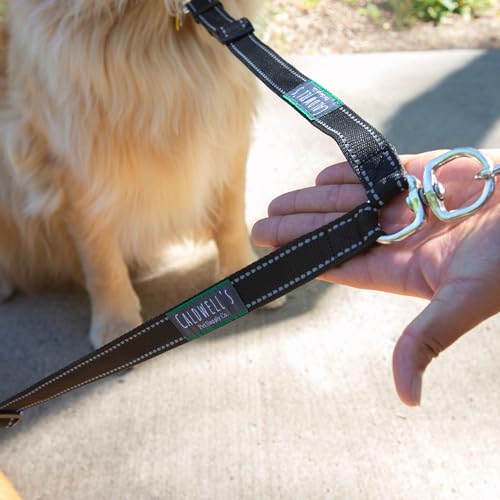 Leash Coupler (Large)