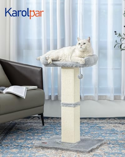 32" Cat Scratching Post for Indoor Cats (Grey)