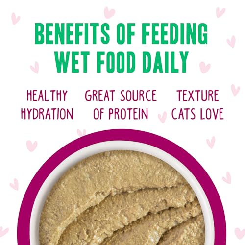 B.F.F. Play Best Feline Friend Paté Lovers (2.8 Ounce (Pack of 12))