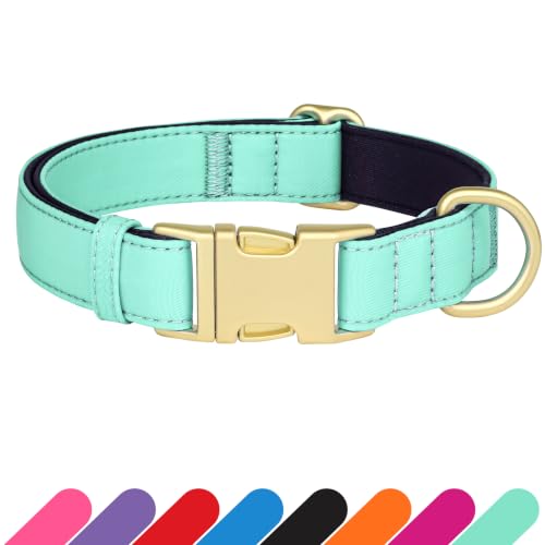 Soft Padded Dog Collar for Small Dogs (Teal / S：Fit 10-15" Neck, Width ⅝")