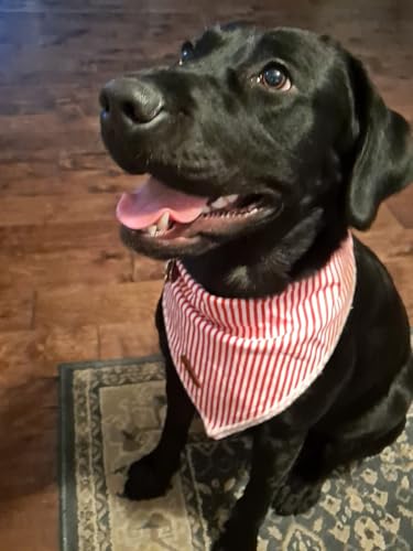 Dog Bandana for Small Medium Large Dogs (Red&White Stripe / Small (Pack of 1))