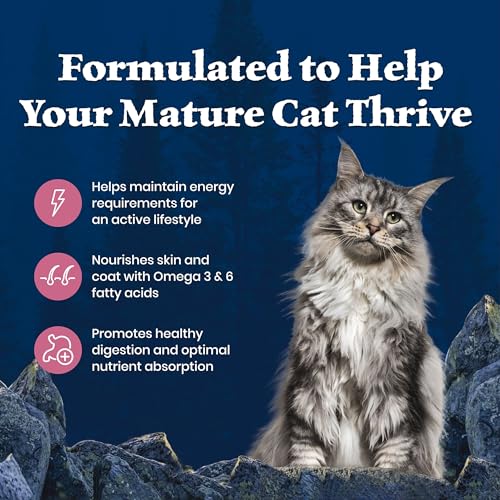 Wilderness Salmon Adult 7+ Dry Cat Food (5 Pound (Pack of 1))