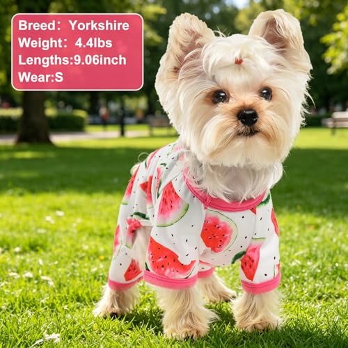 Dog Pajamas Pjs Summer Extra Small Dog Clothes for Small Dogs Girl (Watermelon / Small（3-5 lb))