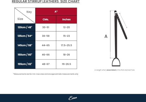Exion Wide Stability Stirrup Leathers (Black / 150 cm / 60 Inch)