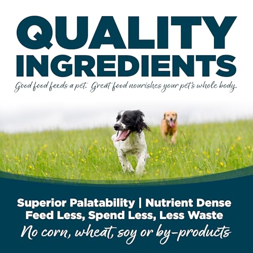 Adult Chicken & Rice Small Bites Dog Food (12 Pound (Pack of 1))