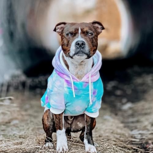 Dog Hoodie Buttery (90s Retro Sky Dye / 5XL)