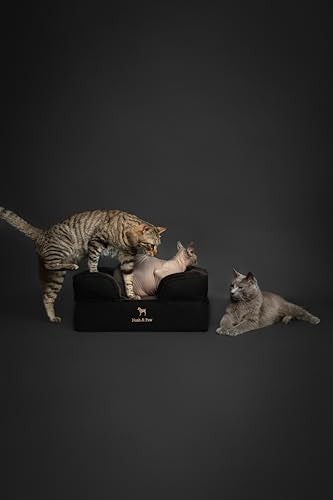 Cat Bed XS Dog Bed (Black - DE / Small)