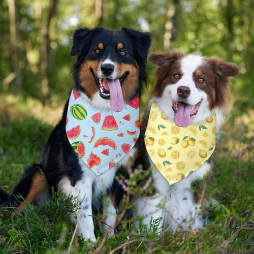 2 Pack Summer Dog Bandanas (G)