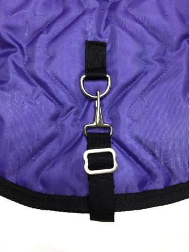 English Padded Saddle Carrier (Hot Pink)