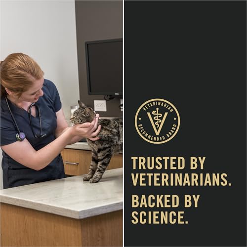 High Protein Cat Food with Probiotics