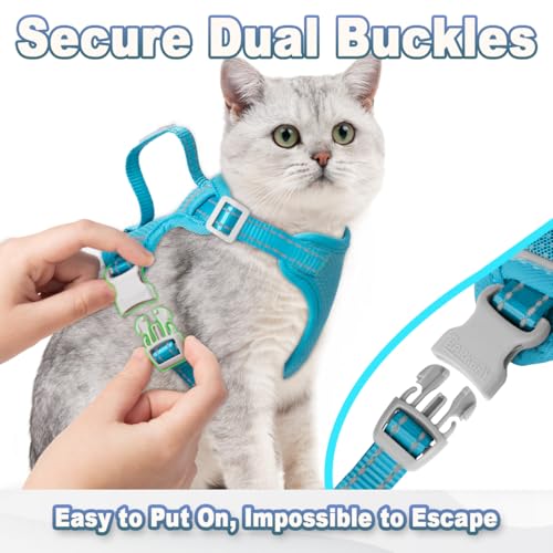 Cat Harness and Leash Set Escape Proof for Kitten Walking (Small / Blue)