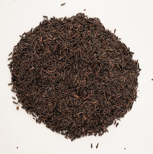 62050 Nyjer Seed Wild Bird Food (10 Pound (Pack of 1))