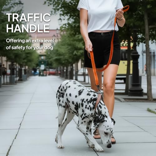 4FT 1IN Heavy Duty Dog Leash for Large Dogs with 2 Padded Handles (Orange / 1 in x 4 ft)