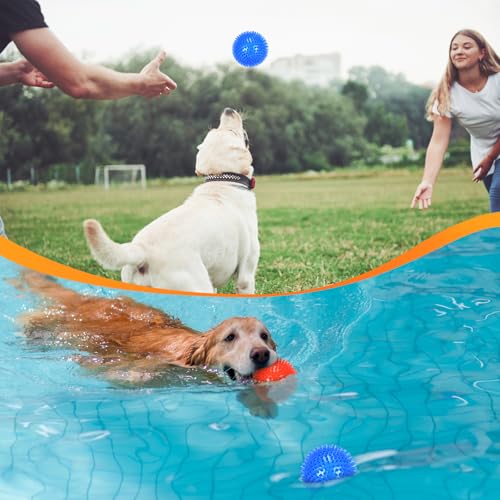 6 Pack 2.5” Squeaky Dog Toy Balls (2.5" (Small Dog) / Set of 6)