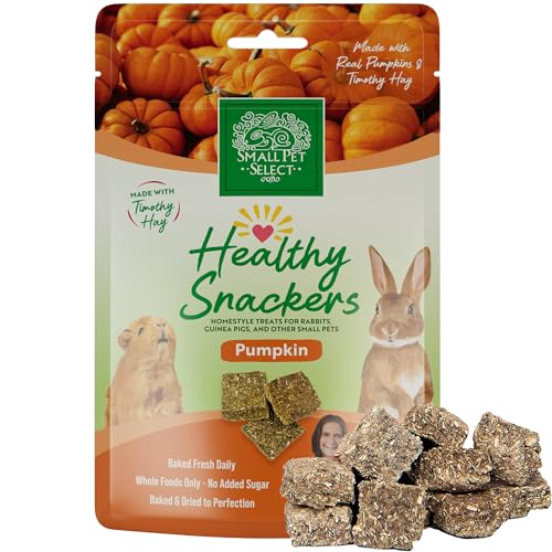 Healthy Snackers (2 Ounce (Pack of 1))