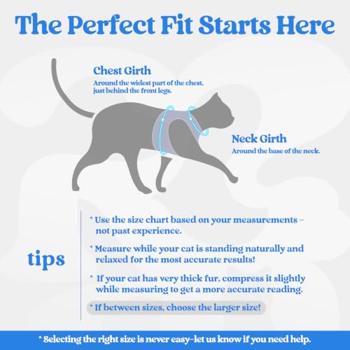 Cat Harness and Leash Set (XL / Blue & Light Blue)