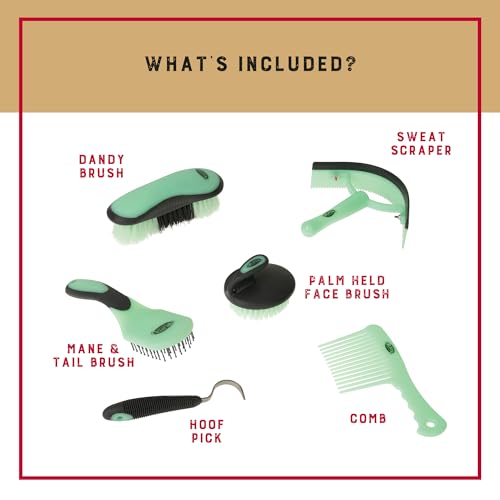 6 Piece Horse Grooming Kit (Mint/Gray)