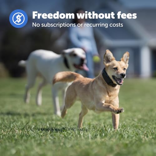 Guardian GPS Dog Fence Bundle with Replacement Pink Collar Strap