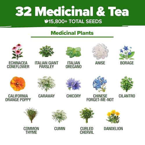 32 Medicinal Herb & Tea Variety Seeds Garden Kit