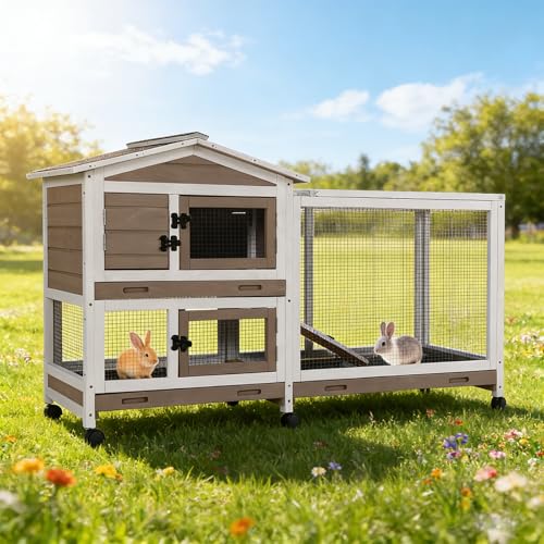 Large Rabbit Hutch Indoor Outdoor (Brown / 48.0"L x 48.0"W x 24.0"H)