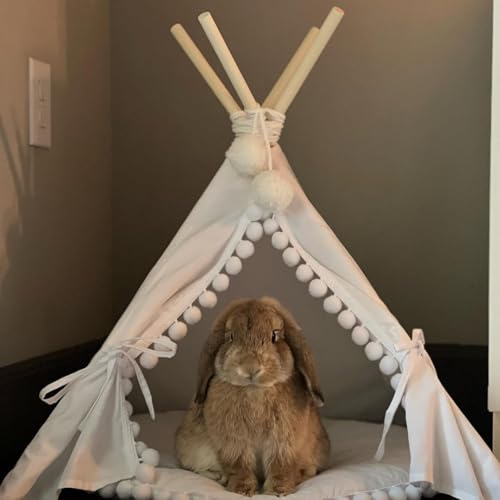Pet Teepee Tent with Padded Mat (Extra Small)