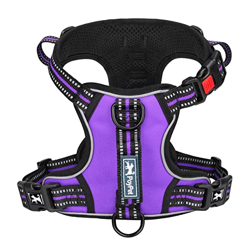 No Pull Dog Harness with 3 Leash Clips and Vertical Handle (Extra Large / Purple)