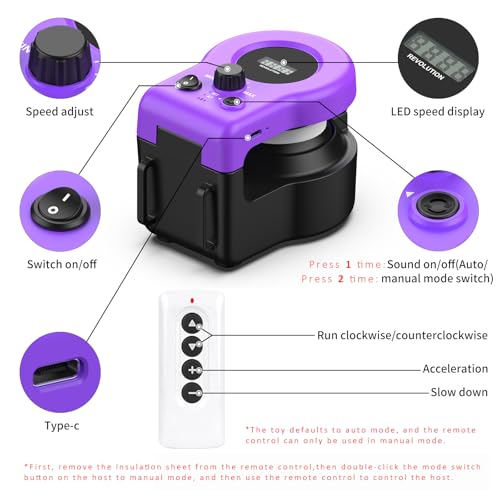 Interactive Cat Toy for Indoor Cats Chase (Elegant Purple)