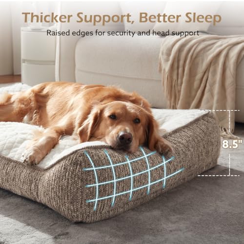 XL Orthopedic Dog Beds Large Size Dog (XL(42"L x 30"W x 8.5"Th) / Beige)